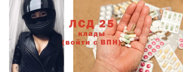 PSILOCYBIN Апатиты