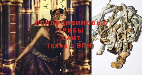 герыч Анива