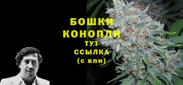 PSILOCYBIN Апатиты