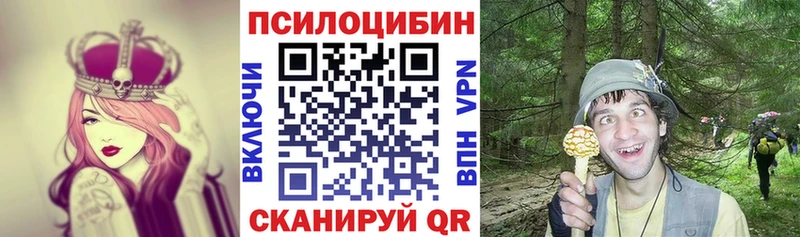 цены   Камешково  Псилоцибиновые грибы ЛСД 